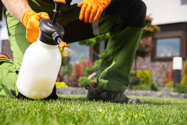 Best Residential Pest Control  in Dublin, CA
