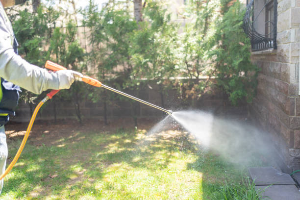 Best Residential Pest Control  in Dublin, CA