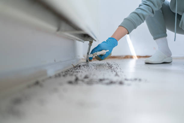 Best Emergency Pest Control  in Dublin, CA