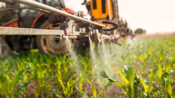 Pest Control Cost in Dublin, CA
