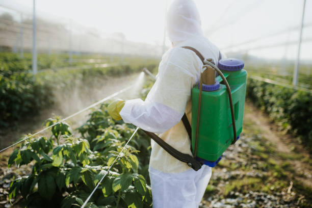 Flea Control Services in Dublin, CA